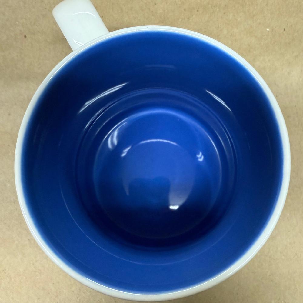 Starbucks Collector Series Los Cabos Mug-2016